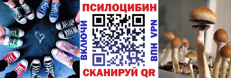 купить наркотик  Дегтярск  Галлюциногенные грибы Magic Shrooms 